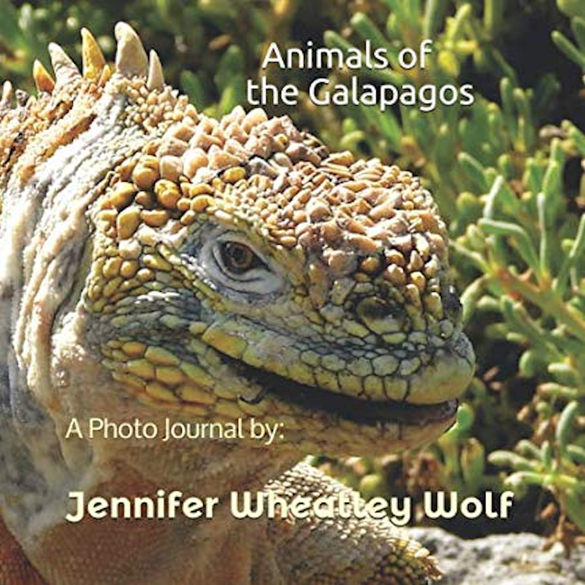 Animals-of-the-Galapagos-A-Photo-Journal-by-Jennifer-A-Wheatley-Wolf